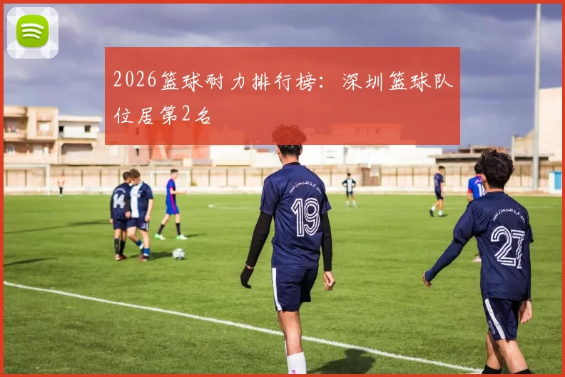 2026篮球耐力排行榜：深圳篮球队位居第2名