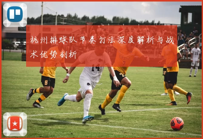 杭州排球队节奏打法深度解析与战术优势剖析