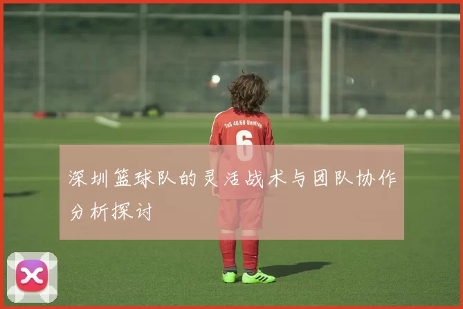 深圳篮球队的灵活战术与团队协作分析探讨