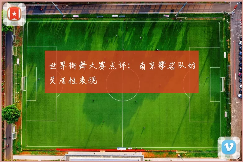 世界街舞大赛点评：南京攀岩队的灵活性表现