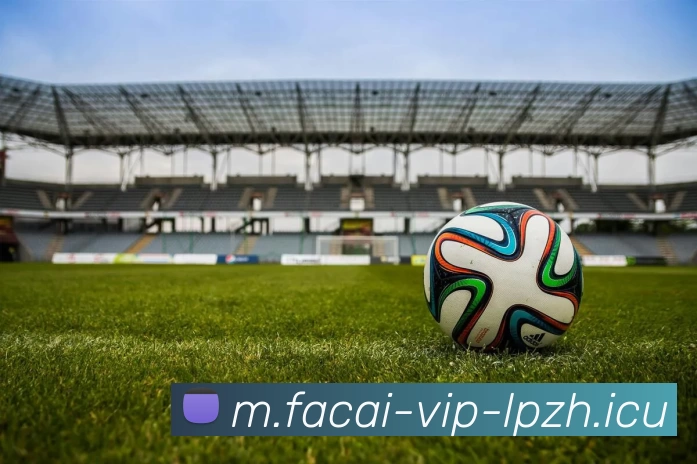 乐鱼体育服务体系