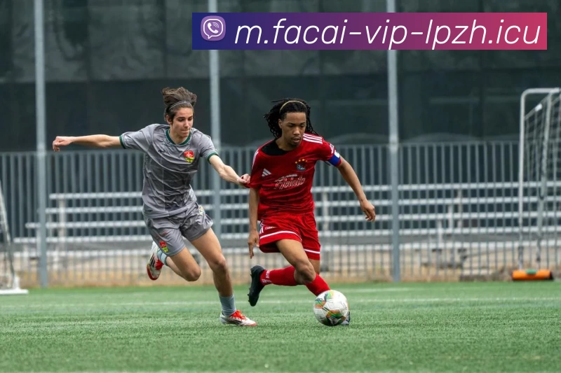 乐鱼体育APP 体育赛事宣传图